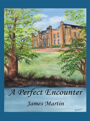 cover image of A Perfect Encounter